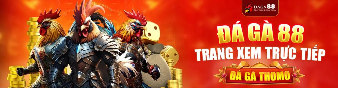 Đá Gà Trực Tuyến qh988