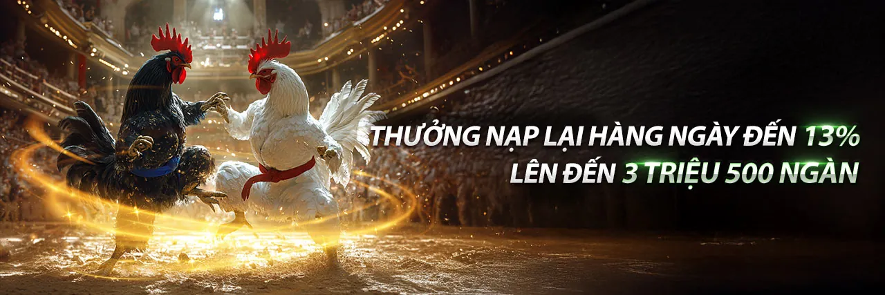 Tải ứng dụng qh988 link mới